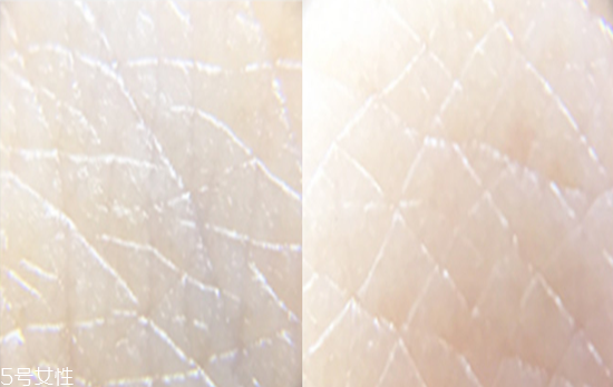 蓓昂斯身體乳好用嗎 蓓昂斯身體乳價(jià)格 蓓昂斯身體乳好用嗎 蓓昂斯身體乳價(jià)格