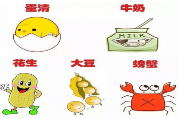 寶寶易過敏食物有哪些 避免這些過敏源 寶寶易過敏食物有哪些 避免這些過敏源