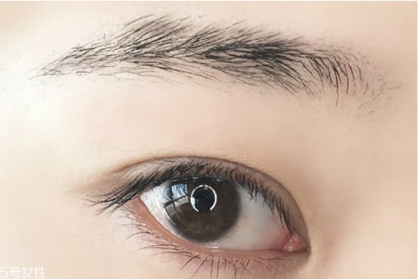 修眉畫眉的技巧圖解 最簡單的修眉方法 修眉畫眉的技巧圖解 最簡單的修眉方法