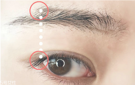 修眉畫眉的技巧圖解 最簡單的修眉方法 修眉畫眉的技巧圖解 最簡單的修眉方法