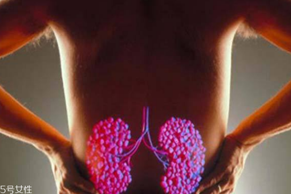 老年人如何治療腎結(jié)石?治療有妙招 老年人如何治療腎結(jié)石?治療有妙招