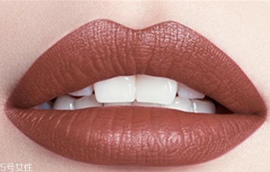 歐萊雅小棕皮怎么樣 歐萊雅小棕皮口紅 歐萊雅小棕皮怎么樣 歐萊雅小棕皮口紅