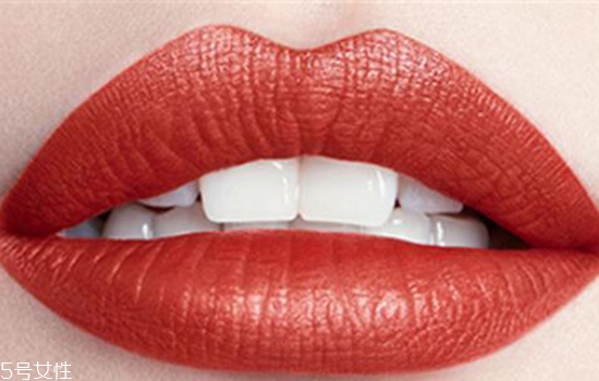 歐萊雅小棕皮怎么樣 歐萊雅小棕皮口紅 歐萊雅小棕皮怎么樣 歐萊雅小棕皮口紅