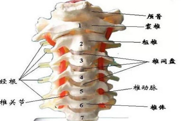 富貴包會引起什么病 教你如何預防