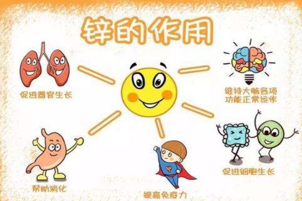 寶寶缺鋅是什么引起的 8個方面要留心 寶寶缺鋅是什么引起的 8個方面要留心