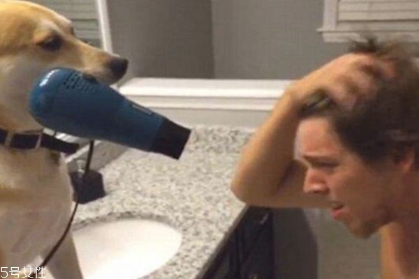 經(jīng)常用吹風(fēng)機(jī)吹頭發(fā)好嗎 會傷頭發(fā)嗎 經(jīng)常用吹風(fēng)機(jī)吹頭發(fā)好嗎 會傷頭發(fā)嗎