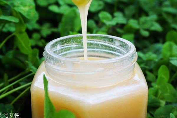 蜂蜜嘗起來會(huì)苦嗎 蜂蜜嘗起來像什么 蜂蜜嘗起來會(huì)苦嗎 蜂蜜嘗起來像什么