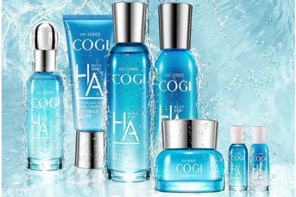 高姿玻尿酸肌活水嫩禮盒怎么樣 高姿玻尿酸補水保濕 高姿玻尿酸肌活水嫩禮盒怎么樣 高姿玻尿酸補水保濕