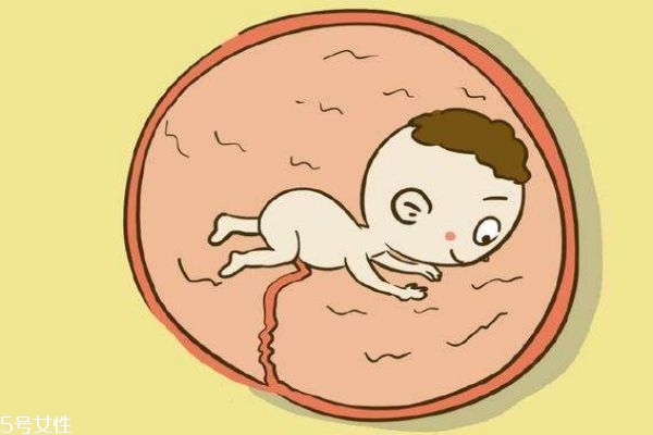 從胎動(dòng)能看出男孩女孩嗎 別再相信這個(gè)啦 從胎動(dòng)能看出男孩女孩嗎 別再相信這個(gè)啦