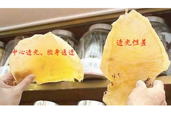 花膠什么顏色好 花膠顏色深好還是不好 花膠什么顏色好 花膠顏色深好還是不好