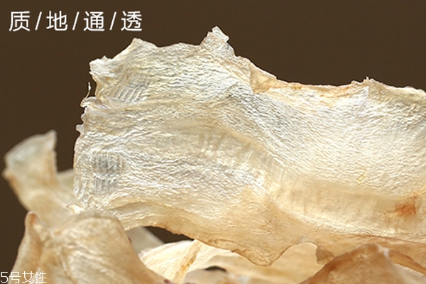 花膠是不是越大越好 還要看品種和干度 花膠是不是越大越好 還要看品種和干度