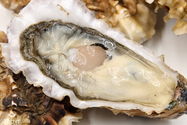 進(jìn)口生蠔能生吃嗎 品質(zhì)好價(jià)格高 進(jìn)口生蠔能生吃嗎 品質(zhì)好價(jià)格高