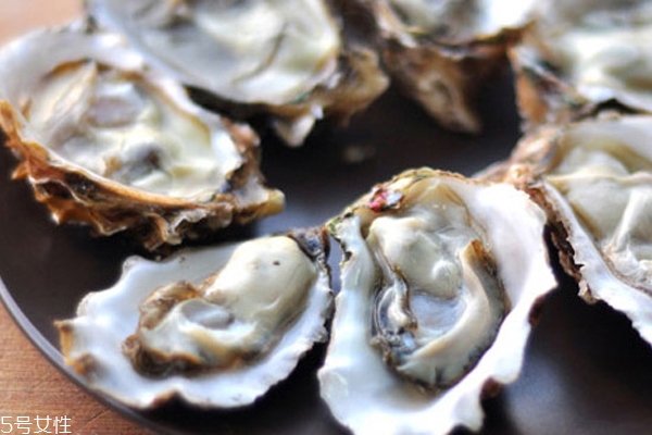 生蠔能放多久 超過1周非常瘦 生蠔能放多久 超過1周非常瘦