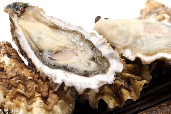 生蠔能放多久 超過1周非常瘦 生蠔能放多久 超過1周非常瘦