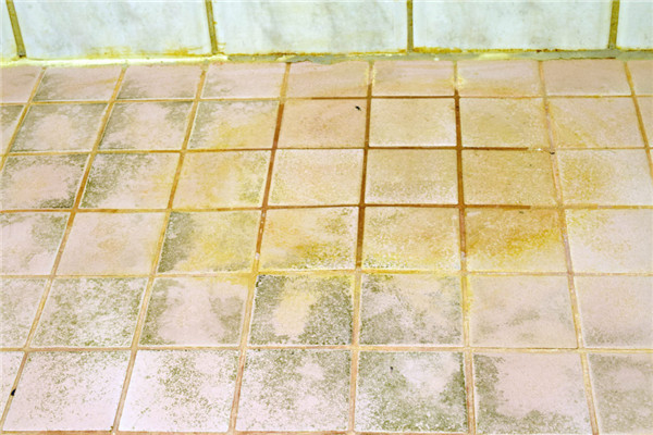 白醋怎么去浴室的水垢 搭配洗潔精輕松去除 白醋怎么去浴室的水垢 搭配洗潔精輕松去除