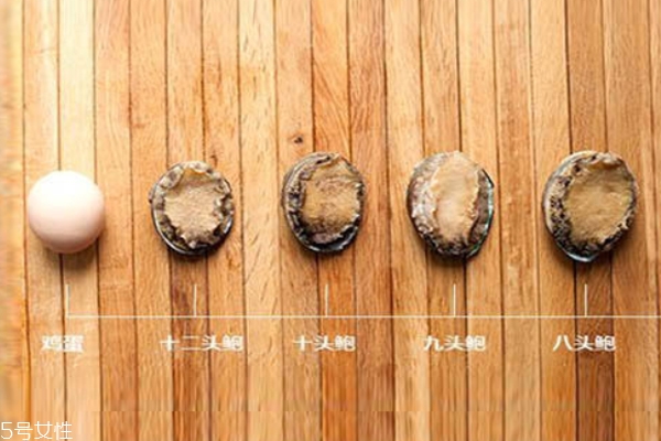 鮑魚(yú)頭數(shù)有什么好處 頭數(shù)代表質(zhì)量好壞 鮑魚(yú)頭數(shù)有什么好處 頭數(shù)代表質(zhì)量好壞