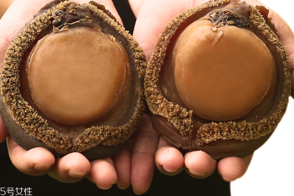 鮑魚(yú)頭數(shù)有什么好處 頭數(shù)代表質(zhì)量好壞 鮑魚(yú)頭數(shù)有什么好處 頭數(shù)代表質(zhì)量好壞