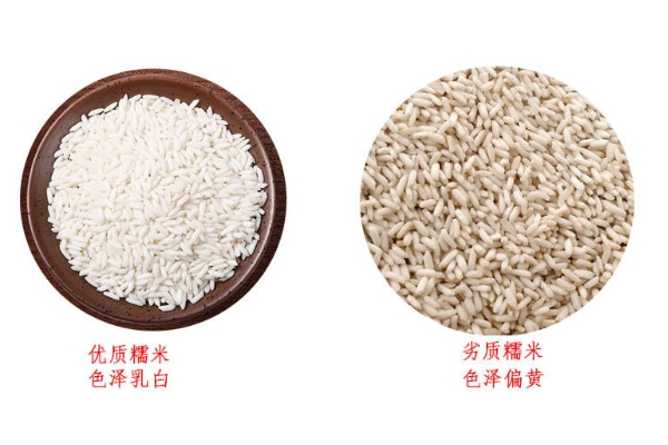糯米怎么挑選才對(duì) 糯米什么顏色才好