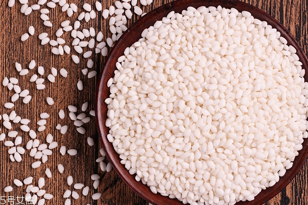 糯米和江米是一種米嗎 東北圓糯米才叫江米 糯米和江米是一種米嗎 東北圓糯米才叫江米
