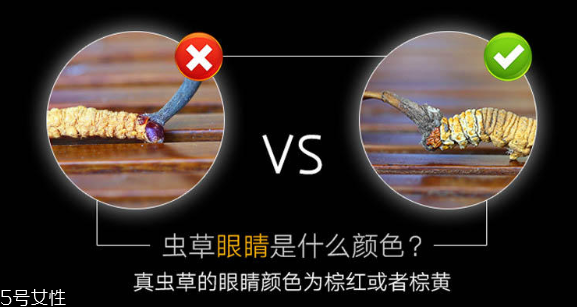 怎么挑冬蟲夏草顏色 6個方面好壞對比圖 怎么挑冬蟲夏草顏色 6個方面好壞對比圖