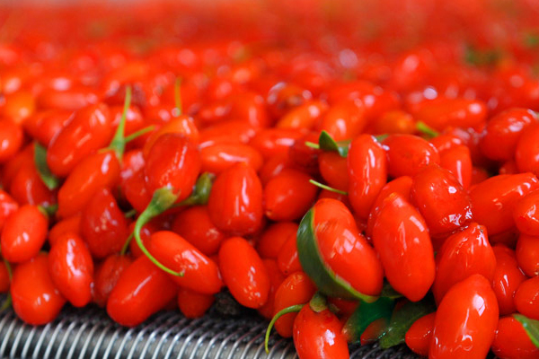 枸杞顏色怎么算好 暗紅or紫紅 枸杞顏色怎么算好 暗紅or紫紅