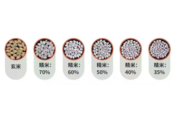 清酒大吟釀是什么意思 清酒大吟釀和吟釀的區(qū)別 清酒大吟釀是什么意思 清酒大吟釀和吟釀的區(qū)別