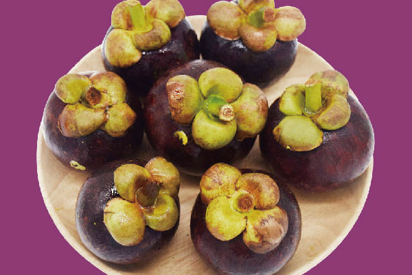 油竹和山竹的區(qū)別 山竹是統(tǒng)稱 油竹和山竹的區(qū)別 山竹是統(tǒng)稱