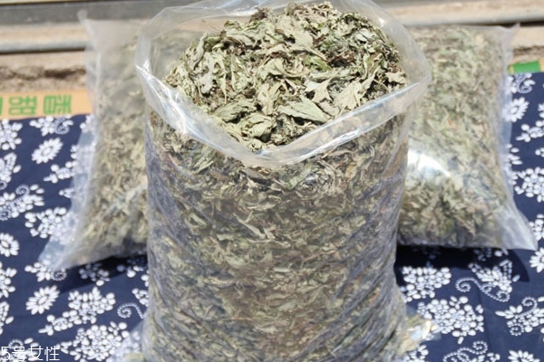 艾葉怎么加工成艾絨 按照這個步驟來 艾葉怎么加工成艾絨 按照這個步驟來