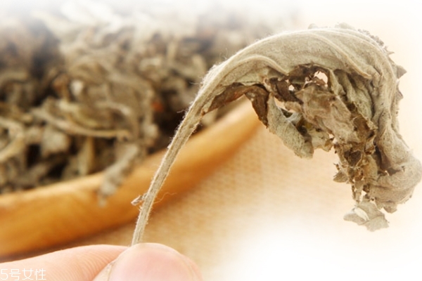 艾葉怎么種植 要滿足這些條件 艾葉怎么種植 要滿足這些條件