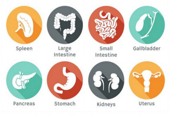 口臭是什么原因引起的 如何快速去除口臭異味 口臭是什么原因引起的 如何快速去除口臭異味