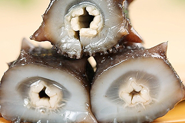 干海參有多大 最大能達30厘米 干海參有多大 最大能達30厘米