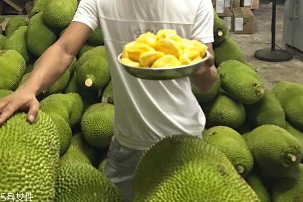 菠蘿蜜為什么貴 有以下原因 菠蘿蜜為什么貴 有以下原因