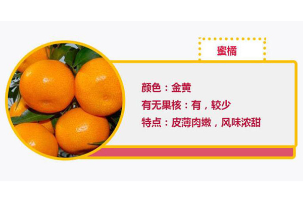 蜜橘和砂糖橘如何區(qū)分 蜜橘和砂糖橘的圖片 蜜橘和砂糖橘如何區(qū)分 蜜橘和砂糖橘的圖片