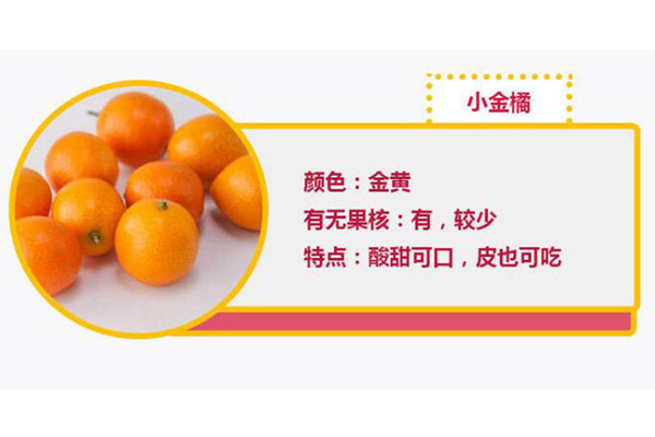 小金橘的皮可以吃嗎 小金橘的皮有什么營養(yǎng) 小金橘的皮可以吃嗎 小金橘的皮有什么營養(yǎng)