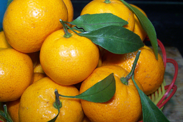 橘子什么顏色的好吃 橘子顏色變化過程 橘子什么顏色的好吃 橘子顏色變化過程