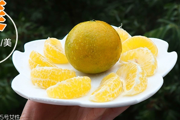 皇帝柑為什么都要打蠟 皇帝柑也美顏 皇帝柑為什么都要打蠟 皇帝柑也美顏
