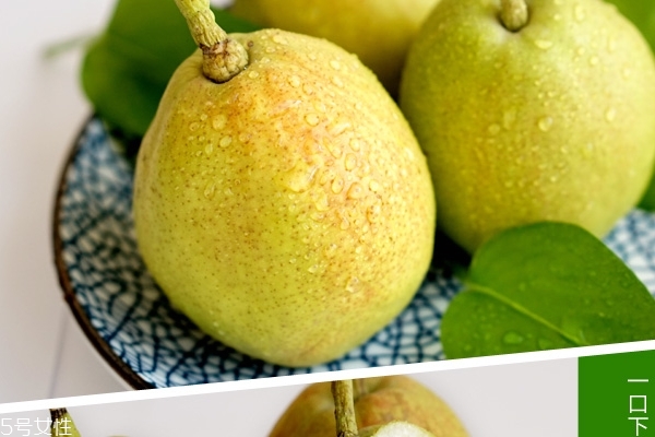 香梨和雪梨的區(qū)別 區(qū)別多著呢 香梨和雪梨的區(qū)別 區(qū)別多著呢