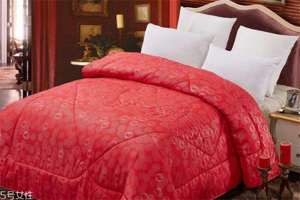 羊毛被和羽絨被哪個(gè)好 各有各的優(yōu)勢(shì) 羊毛被和羽絨被哪個(gè)好 各有各的優(yōu)勢(shì)