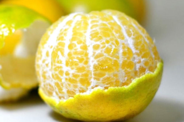 皇帝柑幾月份成熟 十月中旬上市 皇帝柑幾月份成熟 十月中旬上市