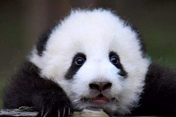 冬季怎么預(yù)防黑眼圈 十招幫你解決困擾 冬季怎么預(yù)防黑眼圈 十招幫你解決困擾