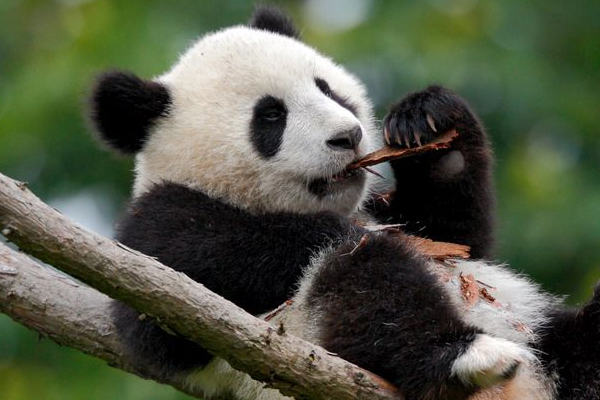 冬季怎么預(yù)防黑眼圈 十招幫你解決困擾 冬季怎么預(yù)防黑眼圈 十招幫你解決困擾