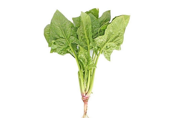 菠菜怎么涼拌 這樣做最好吃 菠菜怎么涼拌 這樣做最好吃