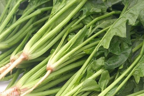 菠菜怎么涼拌 這樣做最好吃 菠菜怎么涼拌 這樣做最好吃
