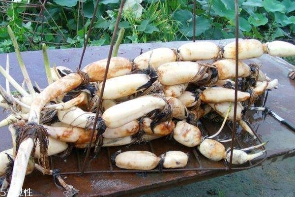 蓮藕變紅怎么回事 因?yàn)楹羞@個(gè)成分 蓮藕變紅怎么回事 因?yàn)楹羞@個(gè)成分