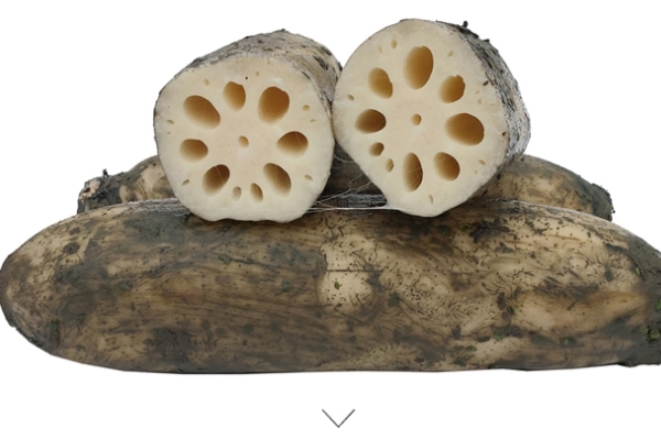 蓮藕吃的是根還是莖 看完你就懂了 蓮藕吃的是根還是莖 看完你就懂了