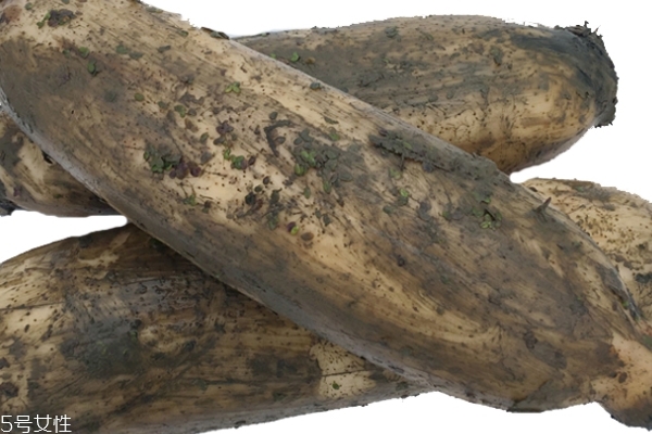 蓮藕吃的是根還是莖 看完你就懂了 蓮藕吃的是根還是莖 看完你就懂了