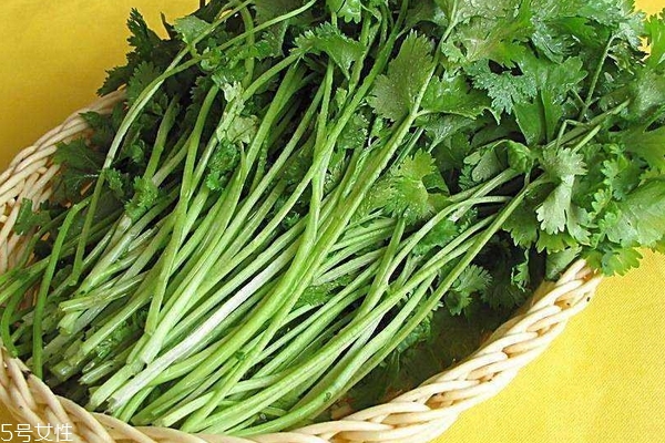 香菜為什么不能亂吃 禁忌多多 香菜為什么不能亂吃 禁忌多多