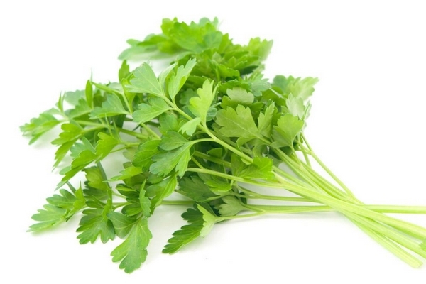 香菜怎么腌制 其實(shí)很簡單 香菜怎么腌制 其實(shí)很簡單