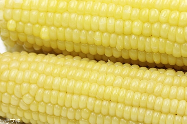 甜玉米隔水蒸多久能熟 這個(gè)時(shí)間就夠了 甜玉米隔水蒸多久能熟 這個(gè)時(shí)間就夠了