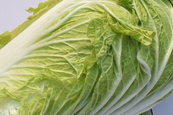 大白菜能降血糖嗎 有這個功效 大白菜能降血糖嗎 有這個功效